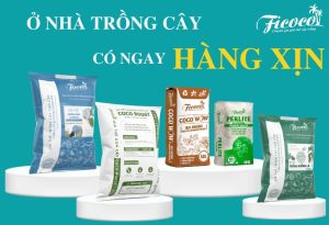 CÁC LOẠI GIÁ THỂ TRỒNG CÂY PHỔ BIẾN VÀ CÁCH LỰA CHỌN GIÁ THỂ PHÙ HỢP
