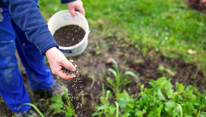 Các loại phân bón cho cây trồng được sử dụng phổ biến