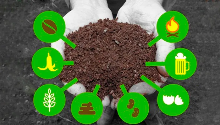 Các loại phân hữu cơ cải tạo đất bạc màu