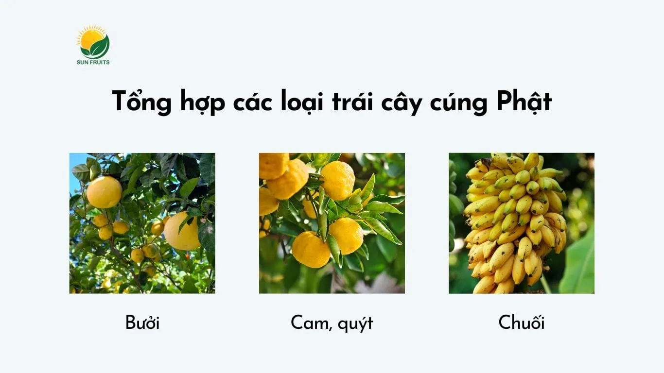 Tổng hợp các loại trái cây cúng phật mang lại ý nghĩa tốt lành