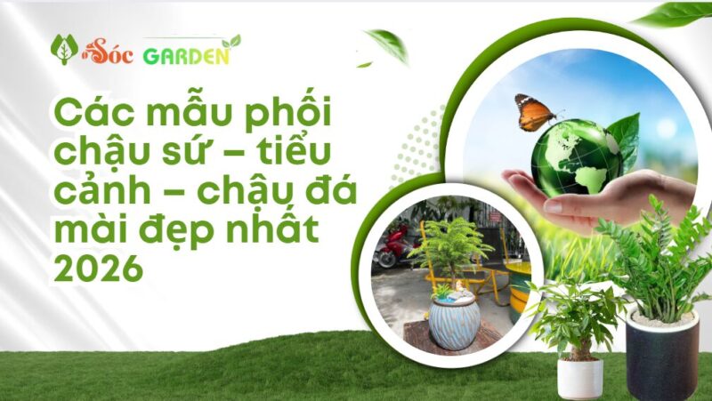 Chậu Trồng Cây Đá Mài: Bền Đẹp, Hiện Đại Cho Mọi Không Gian