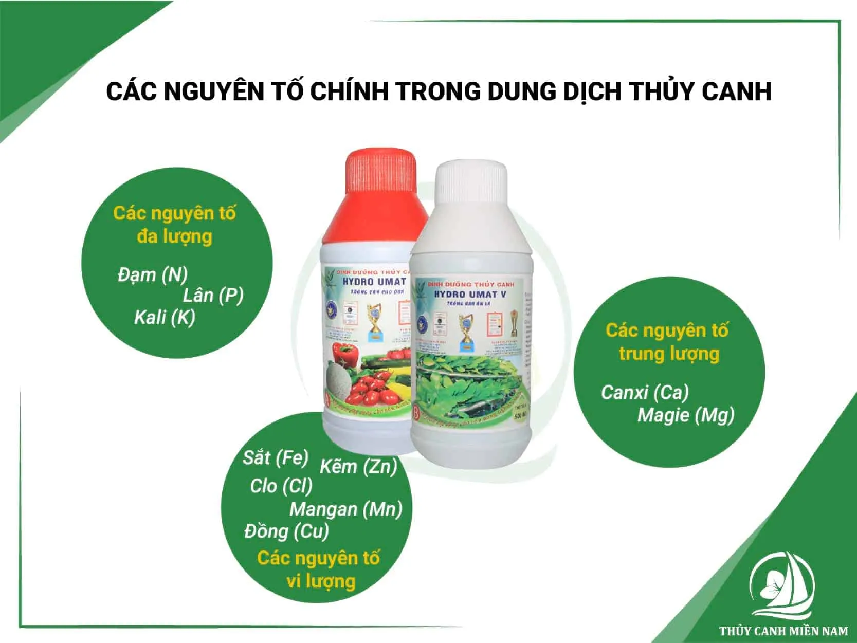 Các thành phần đa, trung, vi lượng trong nồng độ dung dịch dinh dưỡng thủy canh