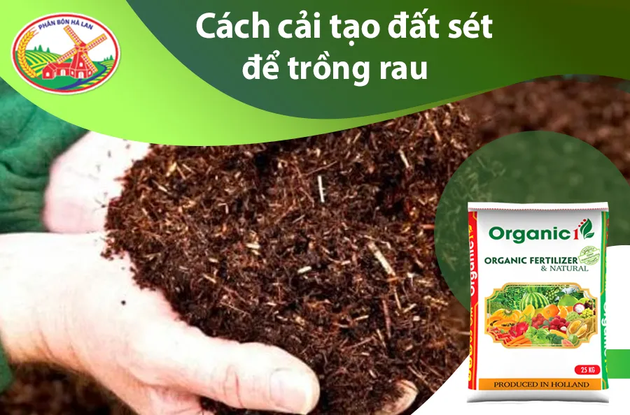 Cách cải tạo đất sét để trồng cây hiệu quả