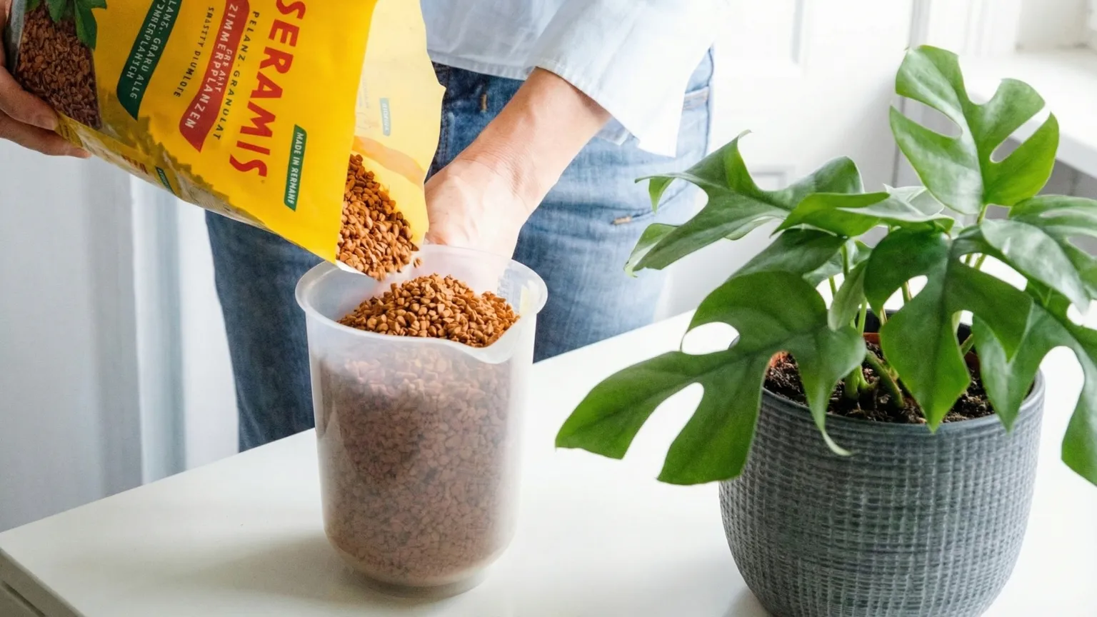 Các loại giá thể phổ biến để trồng lan cẩm cù