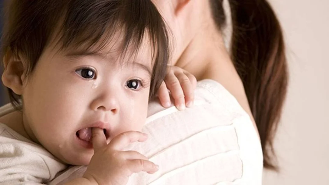 sai lầm khi xử lý sưng mắt do côn trùng đốt cách chữa sưng mắt khi bị côn trùng cắn và các sai lầm thường gặp
