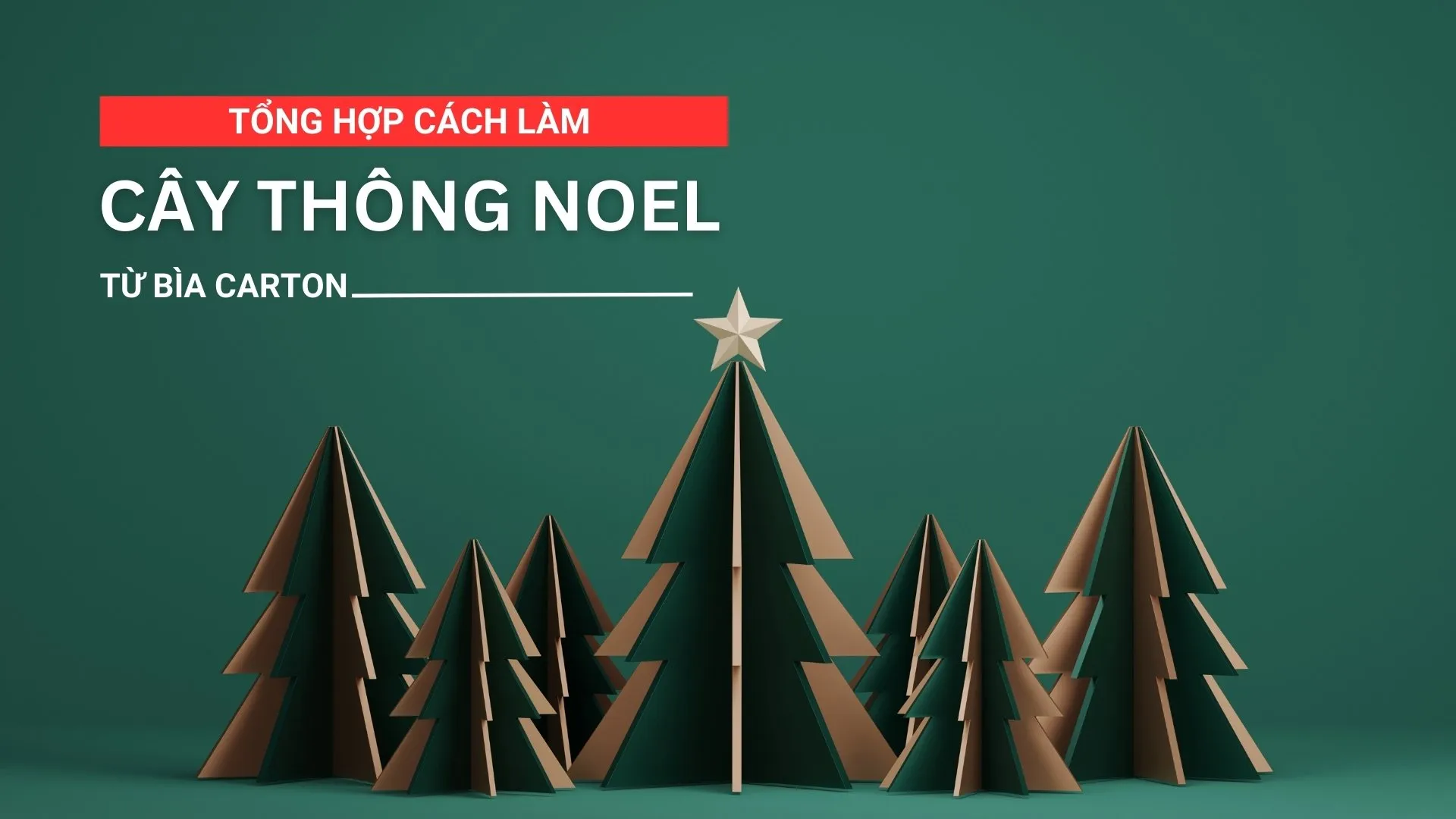 Cách làm cây thông Noel bằng bìa carton mang lại không gian Giáng sinh ấm áp