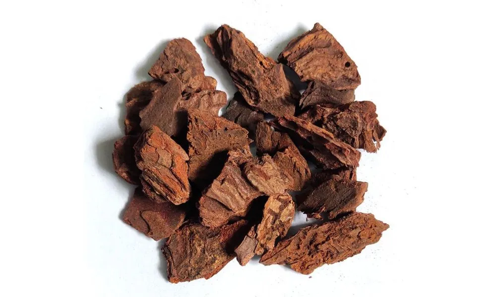 Vỏ thông đã được xử lý là nguyên liệu phổ biến trong trồng lan