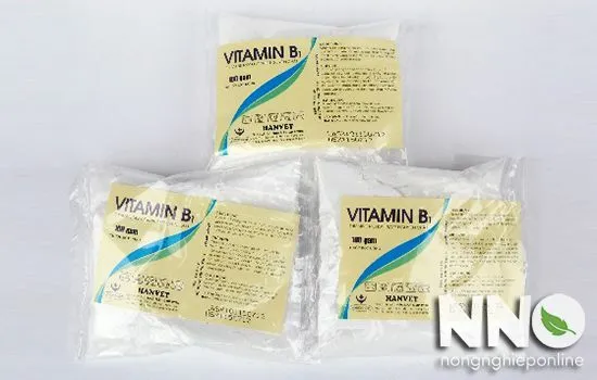 Sử dụng B1 chuyên dụng giúp cây lan phát triển rễ và mầm nhanh chóng