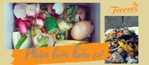 CÁCH PHÂN BIỆT PHÂN BÓN HỮU CƠ VÀ VÔ CƠ DỄ DÀNG