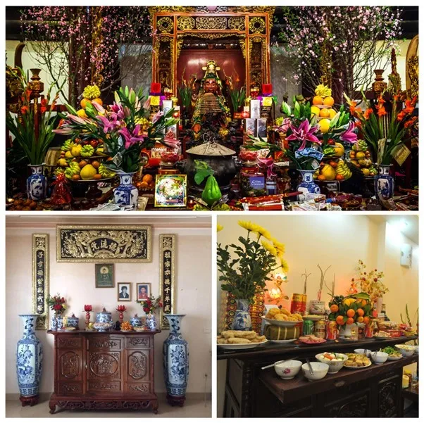 Lựa chọn các loại hoa tươi tắn giúp tăng cường năng lượng tích cực