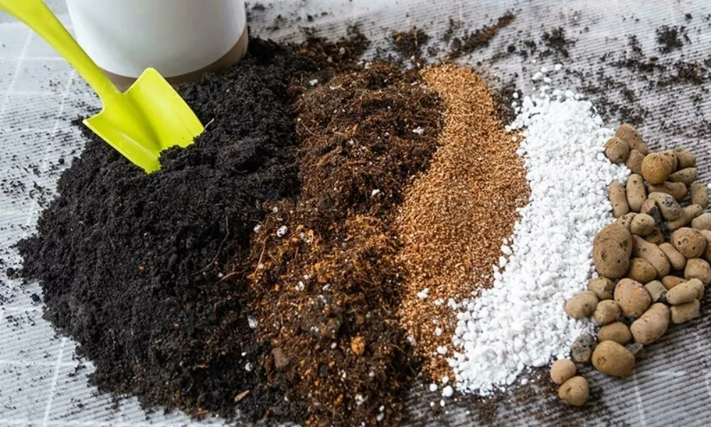 Các tiêu chí quan trọng để đánh giá chất lượng giá thể trồng lan hiện nay