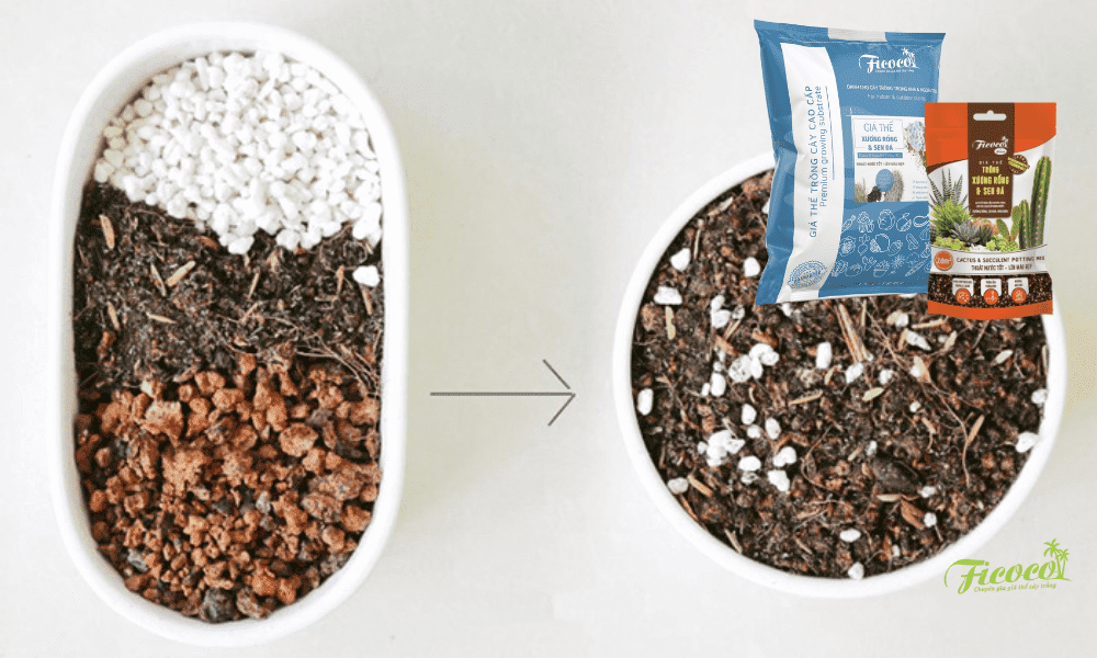 cac-thanh-phan-khi-tron-dat-trong-sen-da