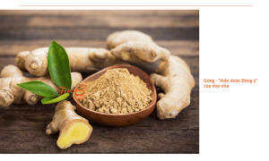 Cách trồng gừng trong chậu tại nhà đơn giản, dễ thực hiện