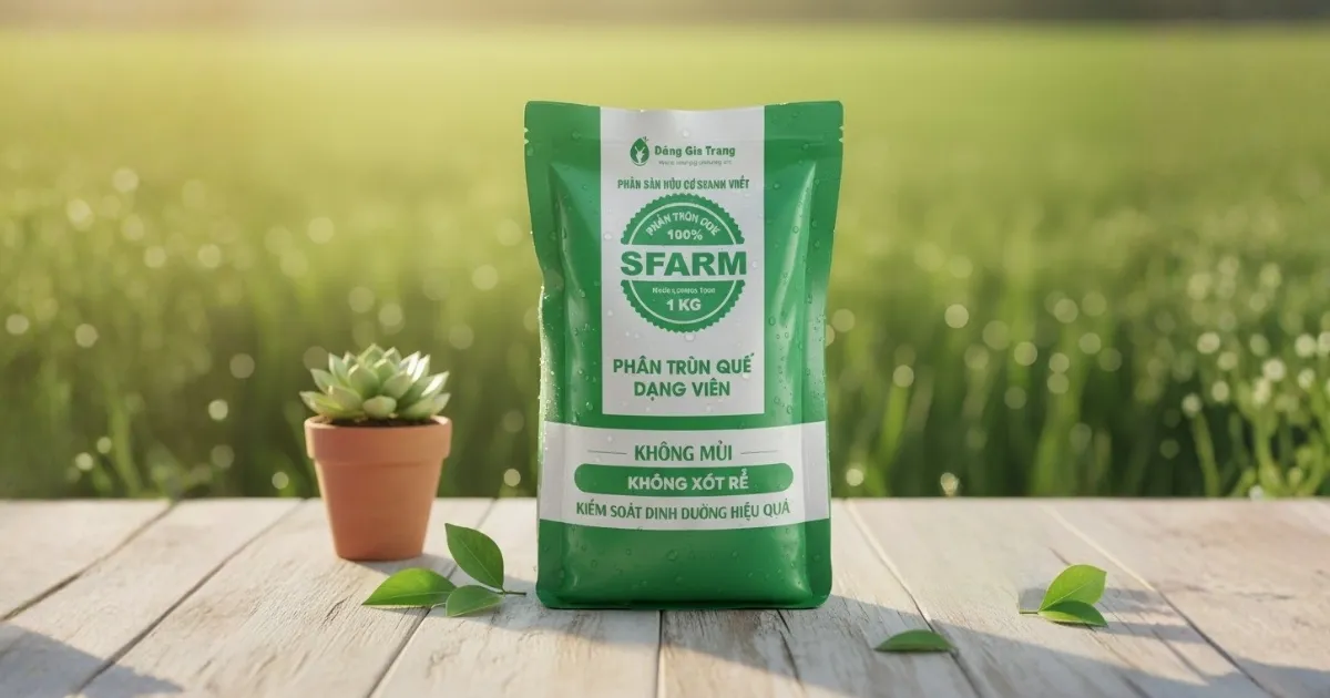 Bón phân trùn quế viên nén tiện dụng cho lan huệ