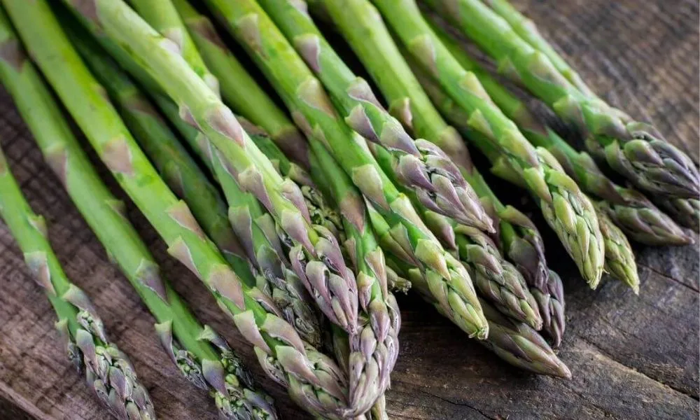 Kỹ thuật trồng cây măng tây xanh