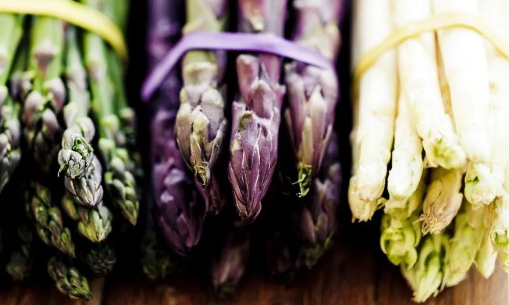 Kỹ thuật trồng cây măng tây xanh