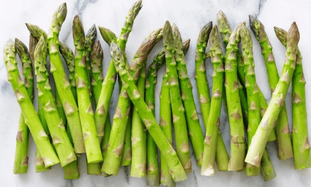 Kỹ thuật trồng cây măng tây xanh