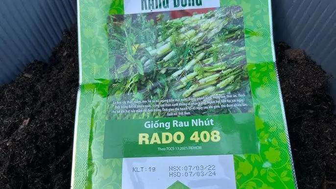 Cách Trồng Cây Rau Nhút Thủy Sinh Tại Nhà: Từ A-Z Cho Người Mới Bắt Đầu