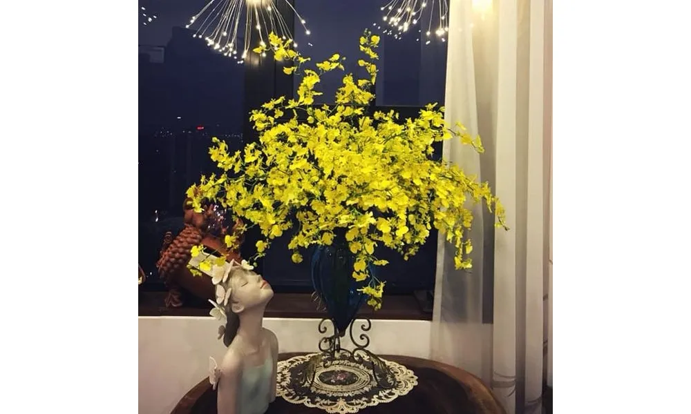 Chậu hoa lan Vũ Nữ thường được dùng để trang trí