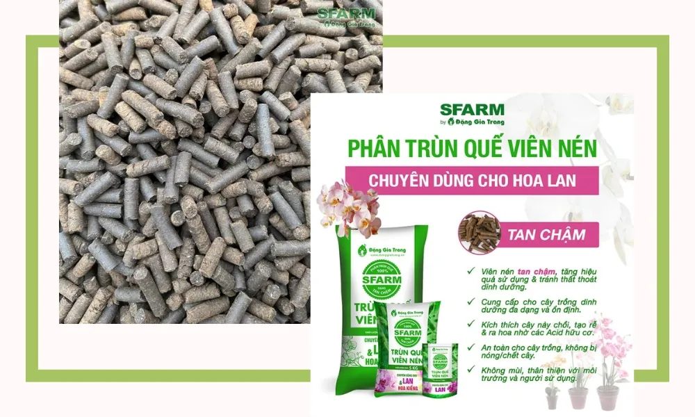 SFARM - cung cấp sỉ phân trùn quế cho lan chất lượng