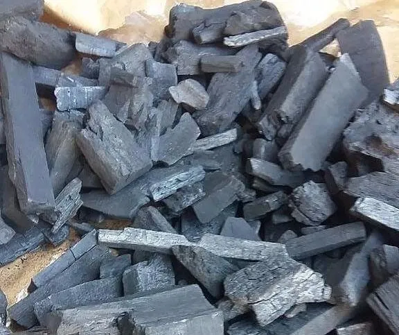 Than củi sau khi xử lý đúng cách sẽ trở thành giá thể bền bỉ và sạch bệnh