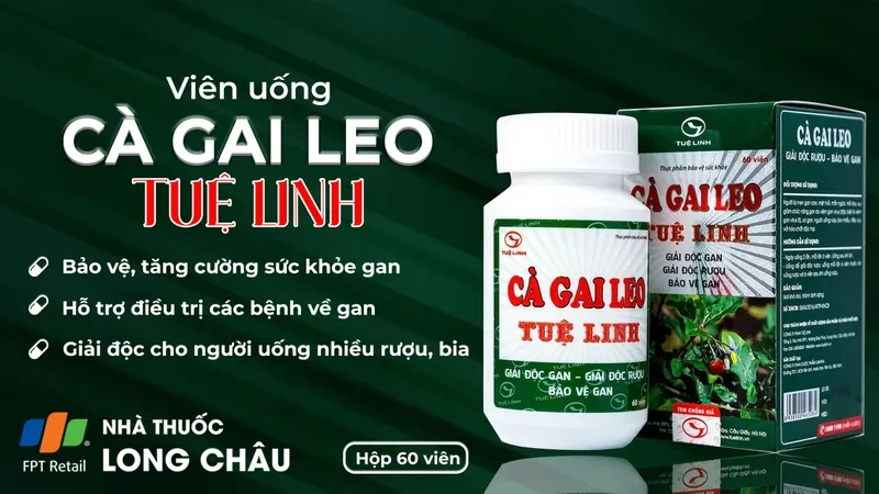 Quy trình sản xuất cà gai leo dạng viên nén đạt chuẩn GMP
