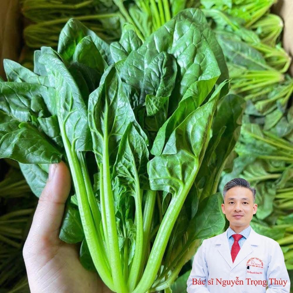 Khám Phá Công Dụng Toàn Diện Của Cây Xấu Hổ Hoa Tím