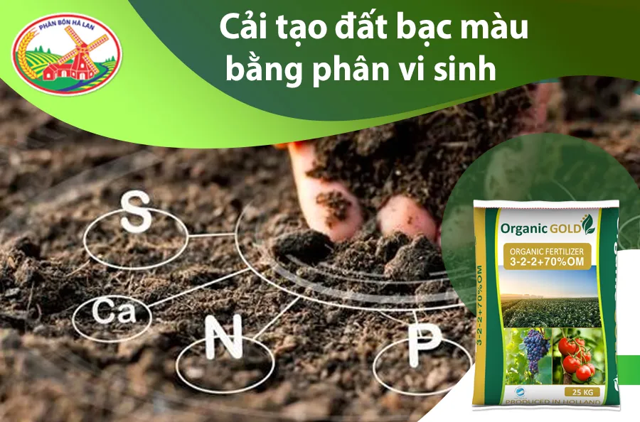 Cải tạo đất bạc màu bằng phân vi sinh