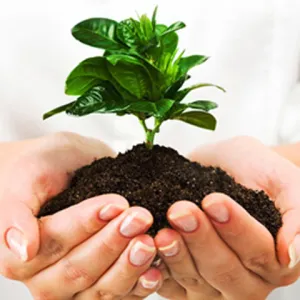 Đất sau cải tạo có màu nâu sẫm, tơi xốp