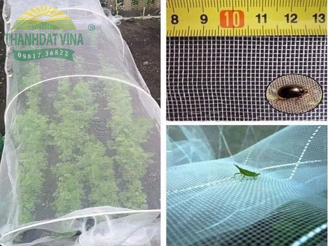 Cận cảnh mắt lưới chắn côn trùng và ứng dụng phủ luống Cận cảnh mắt lưới chắn côn trùng và ứng dụng phủ luống