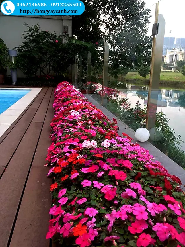 Cảnh quan sân vườn đẹp