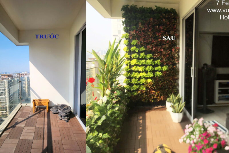 Trồng Cây Ban Công Chung Cư: Biến Không Gian Sống Thêm Xanh Mát