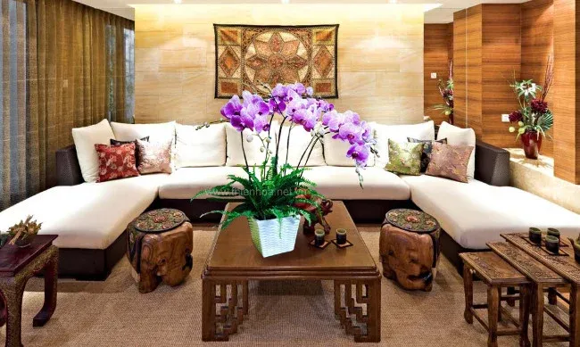 Cách bố trí cây cảnh hài hòa tạo nên không gian sống lý tưởng