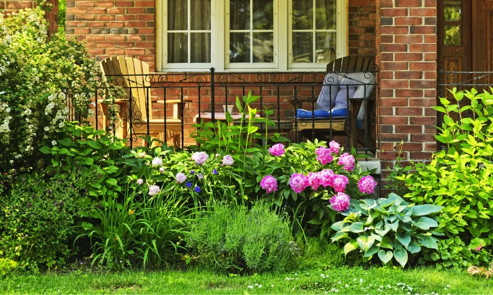 Cây cảnh trồng trước nhà tạo không gian xanh