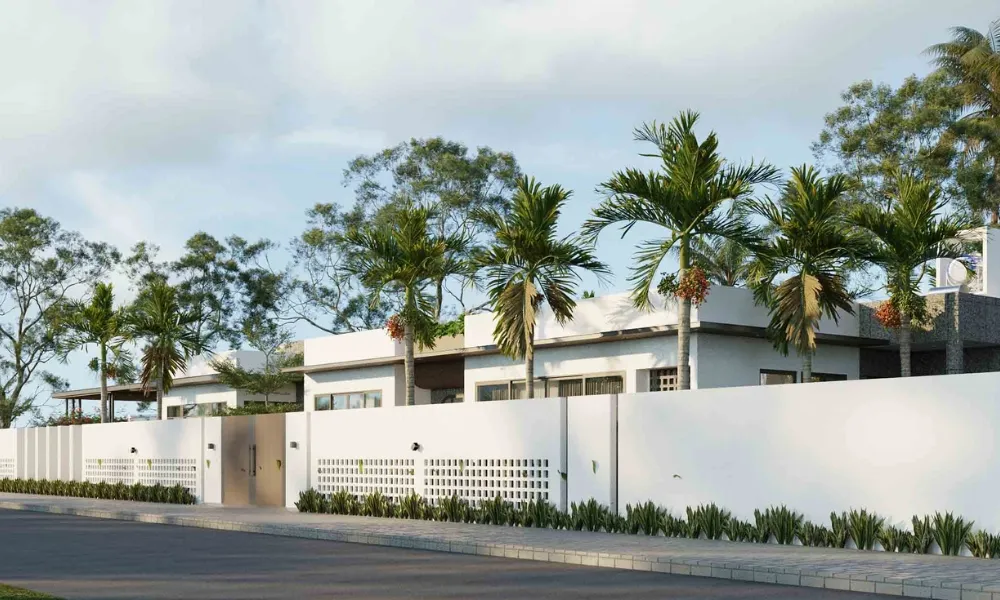 Cây cau, dừa cảnh rất dễ trồng và chăm sóc