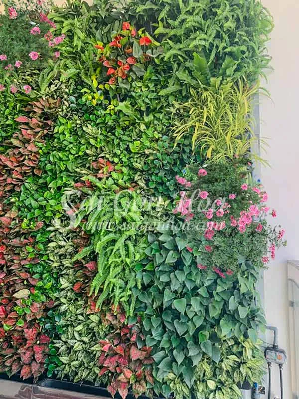 Tường cây nội thất