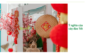 Cây đào Tết: Ý nghĩa và cách trang trí trong dịp tết Nguyên Đán 2023