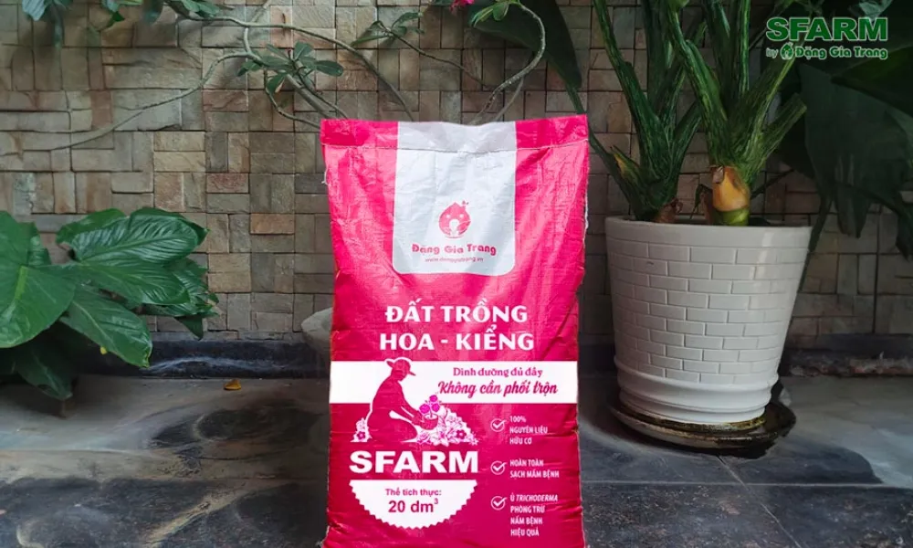 Đất trồng phù hợp cho cách trồng cây lan ý hiệu quả