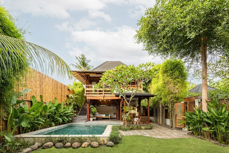 Hoa sứ với nhiều màu sắc