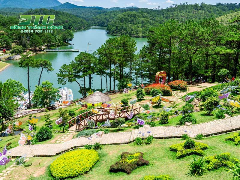 Top 10+ Cây Leo Đẹp Dễ Trồng Giúp Không Gian Sống Thêm Xanh Mát