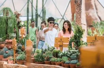 Một góc nhỏ của khu vườn xương rồng tại VinWonders Nha Trang