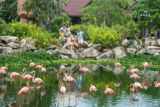 Thế giới tự nhiên thu nhỏ tại VinWonders