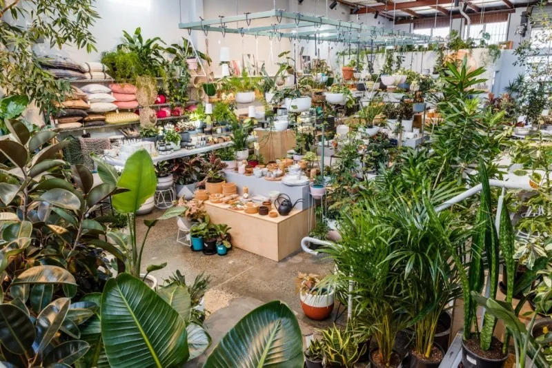 Mẫu thiết kế cảnh quan xanh do kỹ sư tại vườn ươm trực tiếp quy hoạch thi công