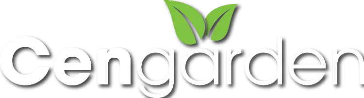 Logo thương hiệu chuyên nghiệp