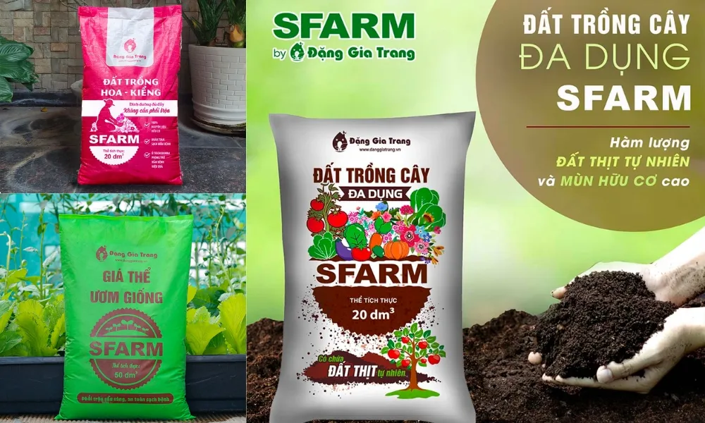 Các sản phẩm đất trộn sẵn phù hợp với hoa lay ơn