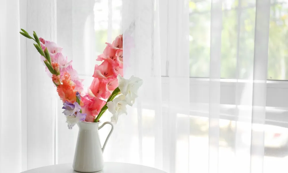 Cách giữ hoa lay ơn tươi lâu