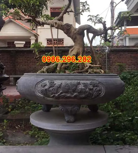 Ang đá trồng cây