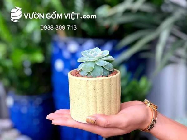 Chậu gốm sứ mini với nết vẽ tay tinh xảo