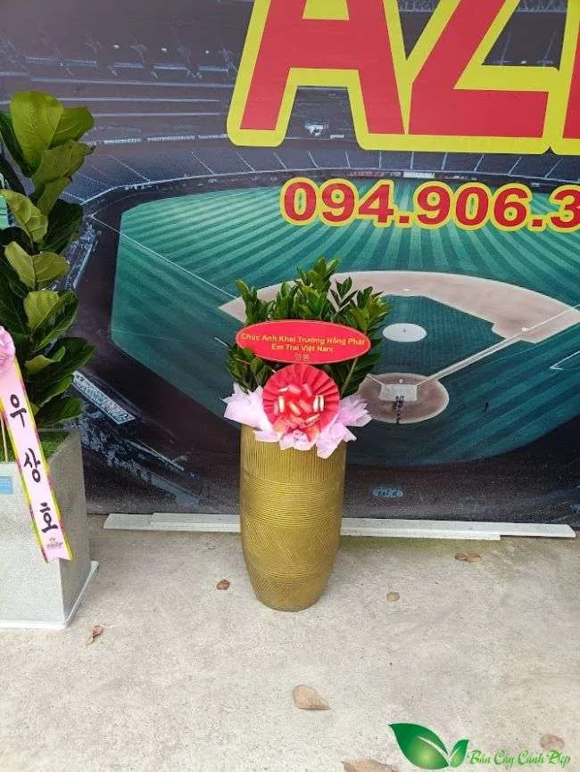 Cây Hồng Môn với hoa hình trái tim màu đỏ rực