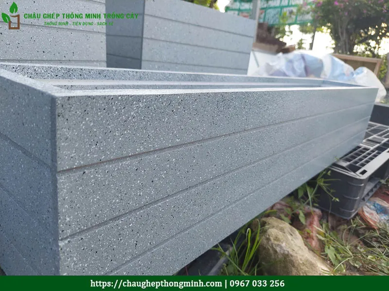 Chậu composite trồng cây